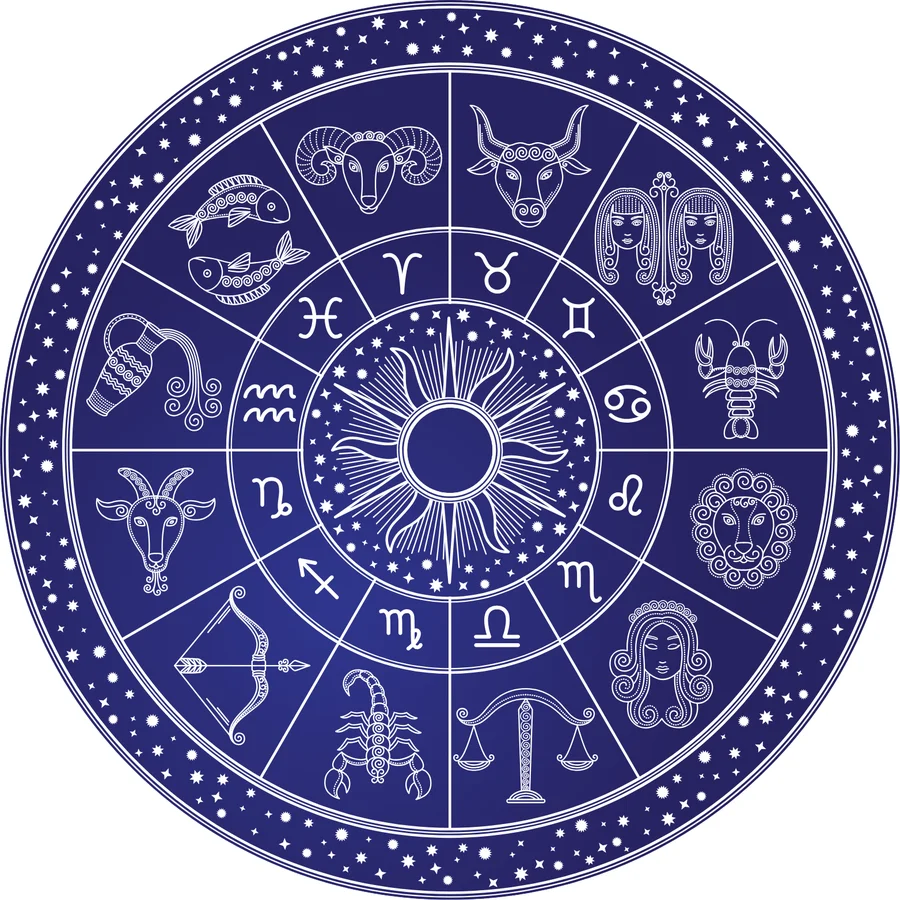 The twelve zodiac signs on a wheel